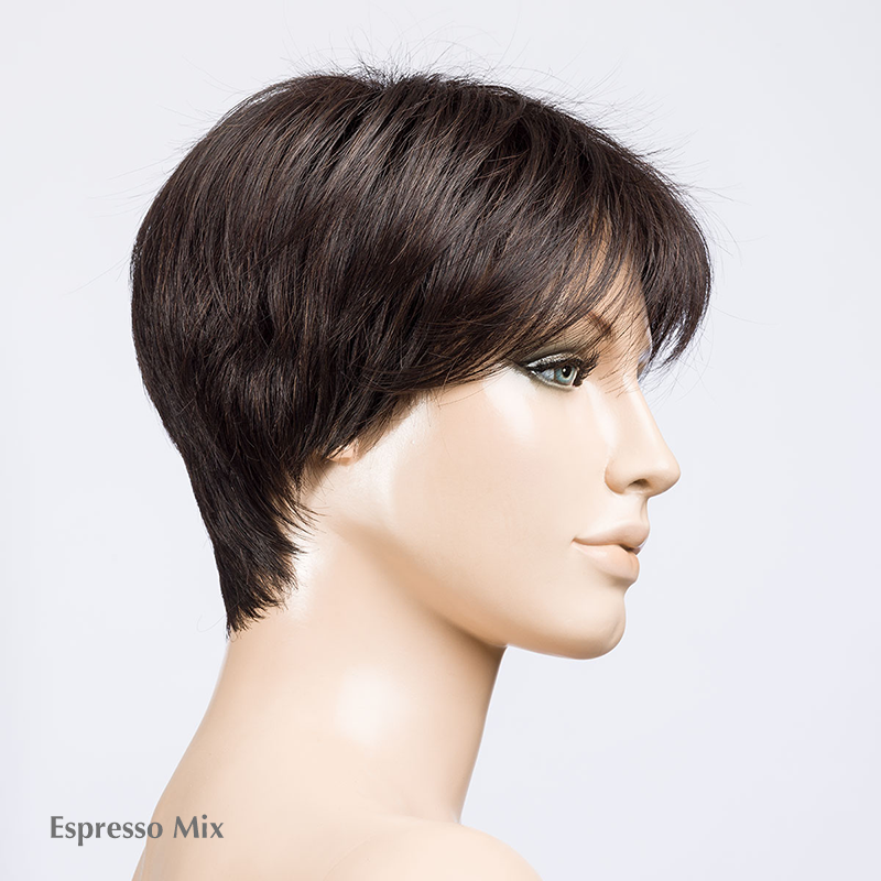 Elan Wig by Ellen Wille | Heat Friendly Synthetic | Lace Front Wig (Basic Cap)