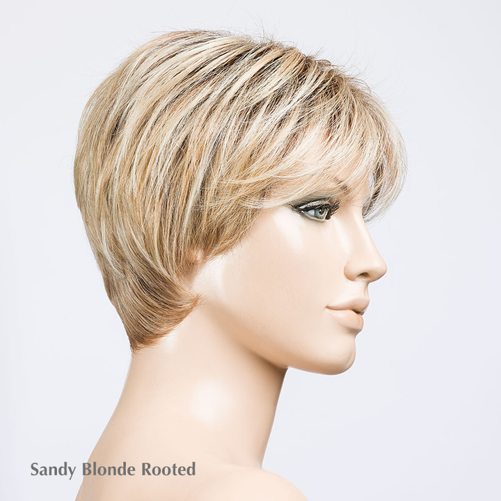 Elan Wig by Ellen Wille | Heat Friendly Synthetic | Lace Front Wig (Basic Cap)
