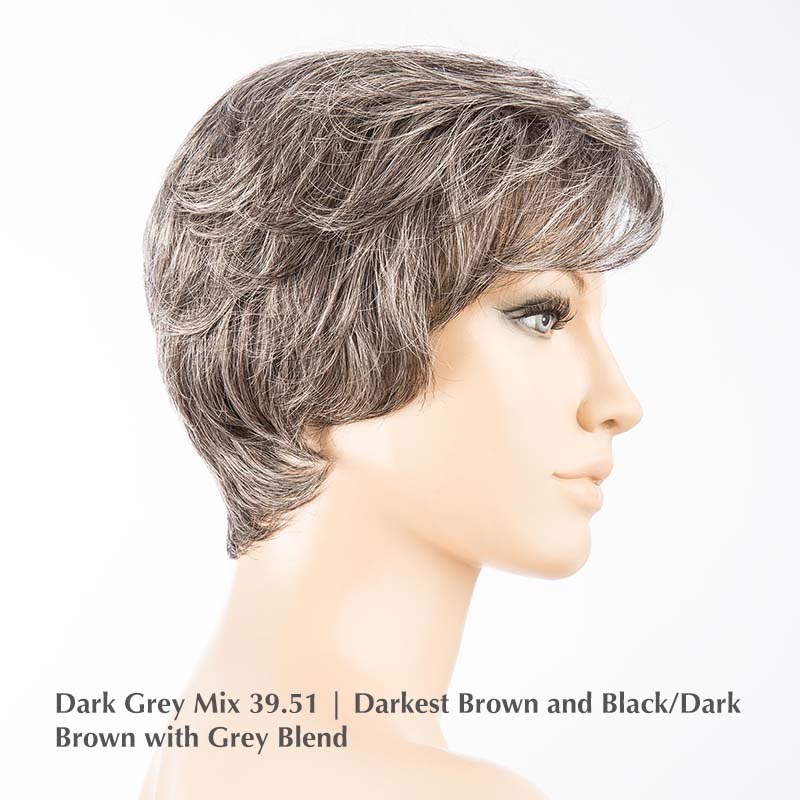 Modena Wig by Ellen Wille