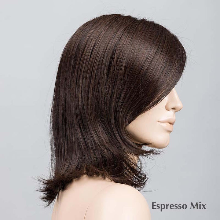 Melody Wig by Ellen Wille | Heat Friendly Synthetic | Lace Front Wig (