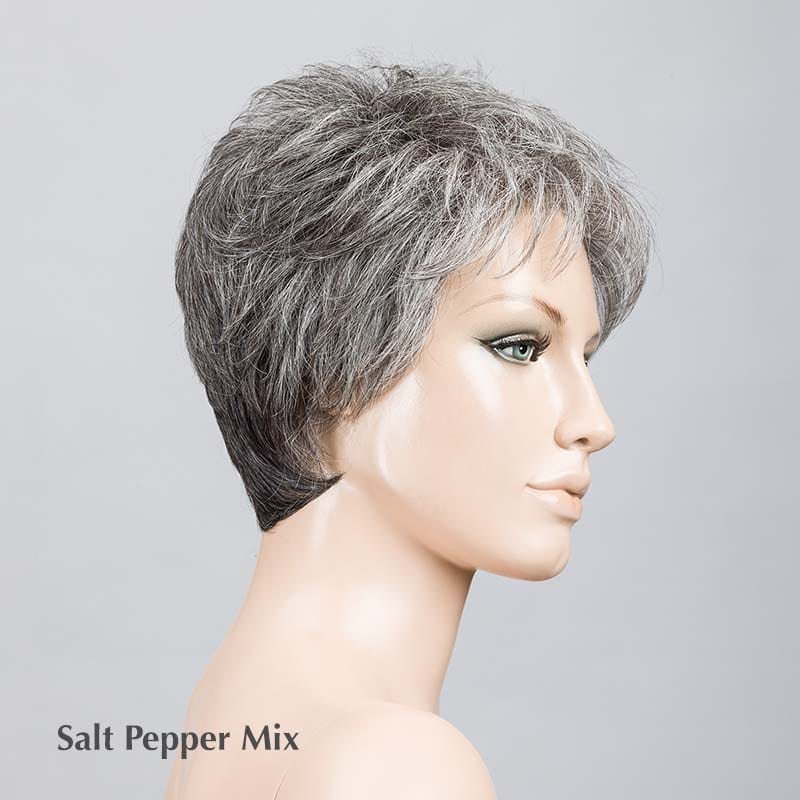 Time Comfort Wig by Ellen Wille | Synthetic Lace Front Wig (Mono Top)