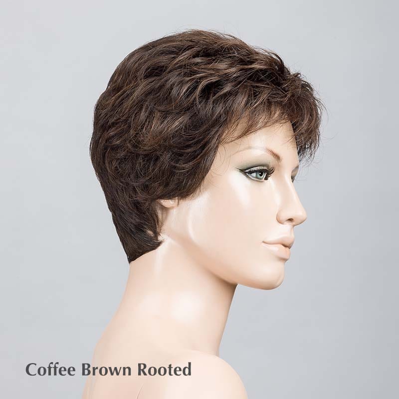Time Comfort Wig by Ellen Wille | Synthetic Lace Front Wig (Mono Top)