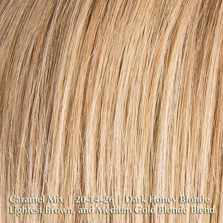 Amy Small Deluxe Wig by Ellen Wille | Synthetic Lace Front WigAmy Small Deluxe Wig