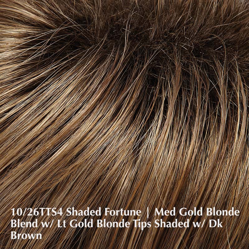 10/26TTS4 Shaded Fortune | Medium Gold Blonde Blend with Light Gold Blonde Tips, Shaded with Dark Brown