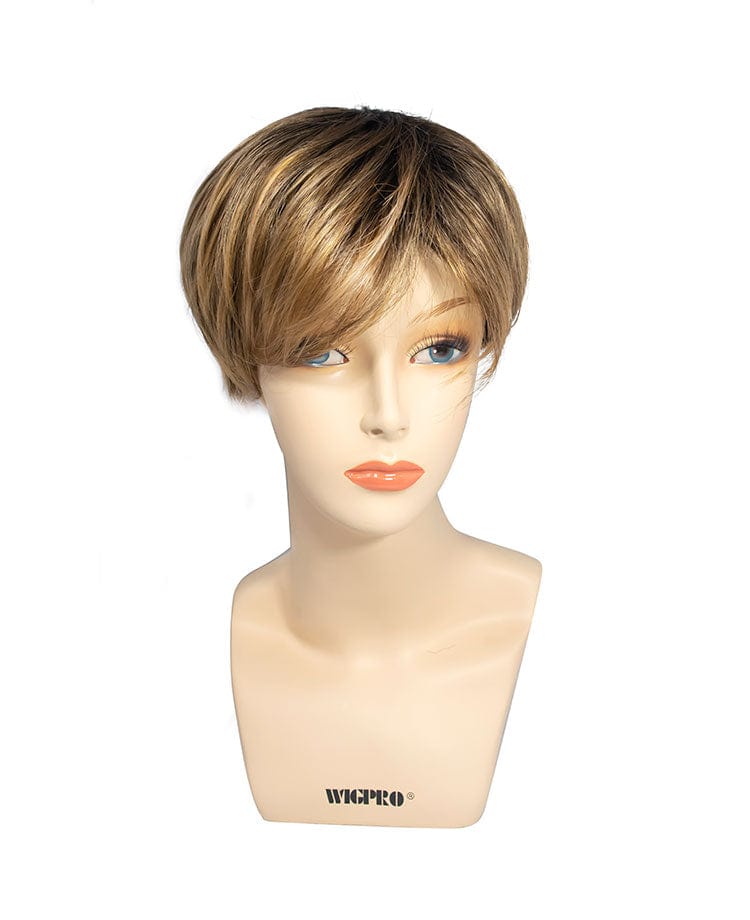 Robin by Wig Pro | Synthetic Wig | Lace Front