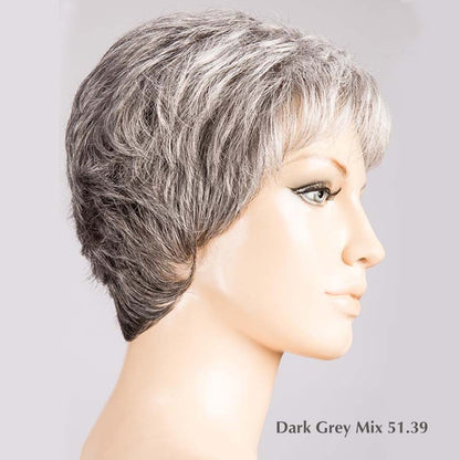 Lina Wig by Ellen Wille | Synthetic Lace Front Wig (Basic)