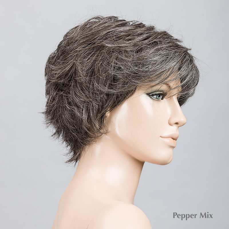 Relax Wig by Ellen Wille | Heat Friendly Synthetic | Lace Front Wig (Mono Crown)