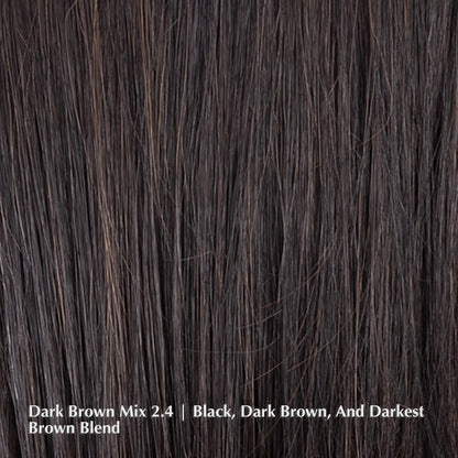 Alasia Super Wig by Ellen Wille | Heat Friendly Synthetic | Lace Front (Mono Top)