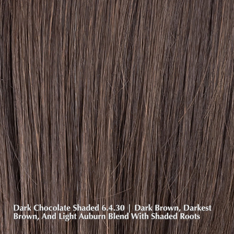 Alasia Super Wig by Ellen Wille | Heat Friendly Synthetic | Lace Front (Mono Top)