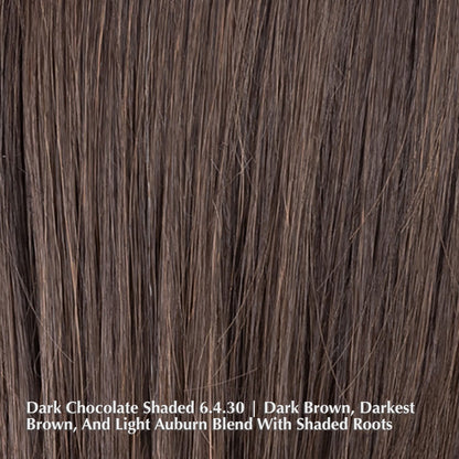 Alasia Super Wig by Ellen Wille | Heat Friendly Synthetic | Lace Front (Mono Top)