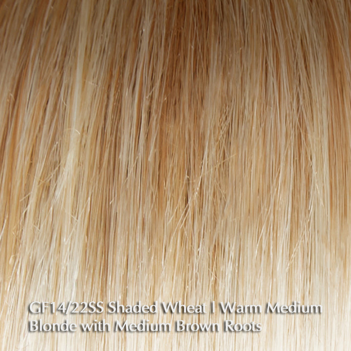 Own The Room by Gabor | Heat Friendly Synthetic | Lace Front Wig (Mono Part)
