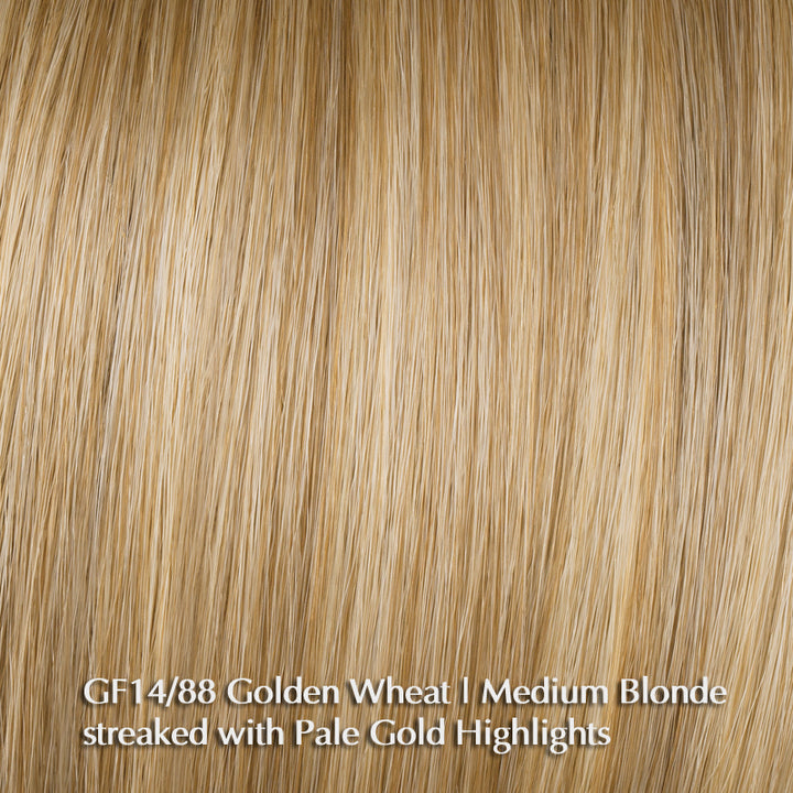 Inspire Me by Gabor | Heat Friendly Synthetic | Lace Front (Mono Top)