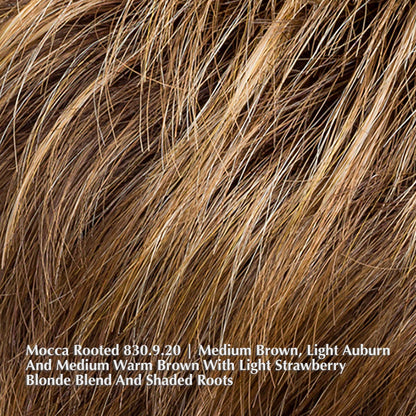 Chat Wig by Ellen Wille | Heat Friendly Synthetic | Extended Lace Front