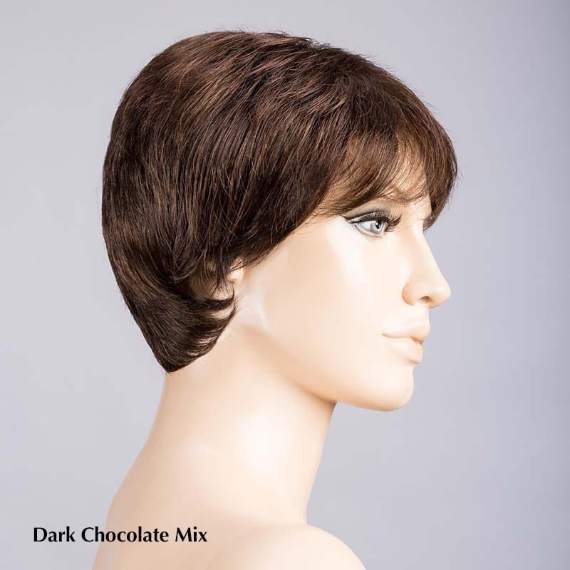 Ginger Mono Large by Ellen Wille | Synthetic Lace Front Wig (Mono Top)