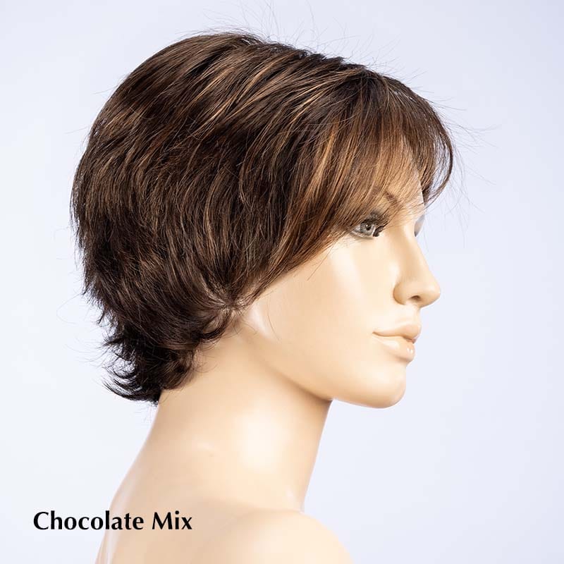 Joy Wig by Ellen Wille | Synthetic Lace Front Wig (Hand-Tied)