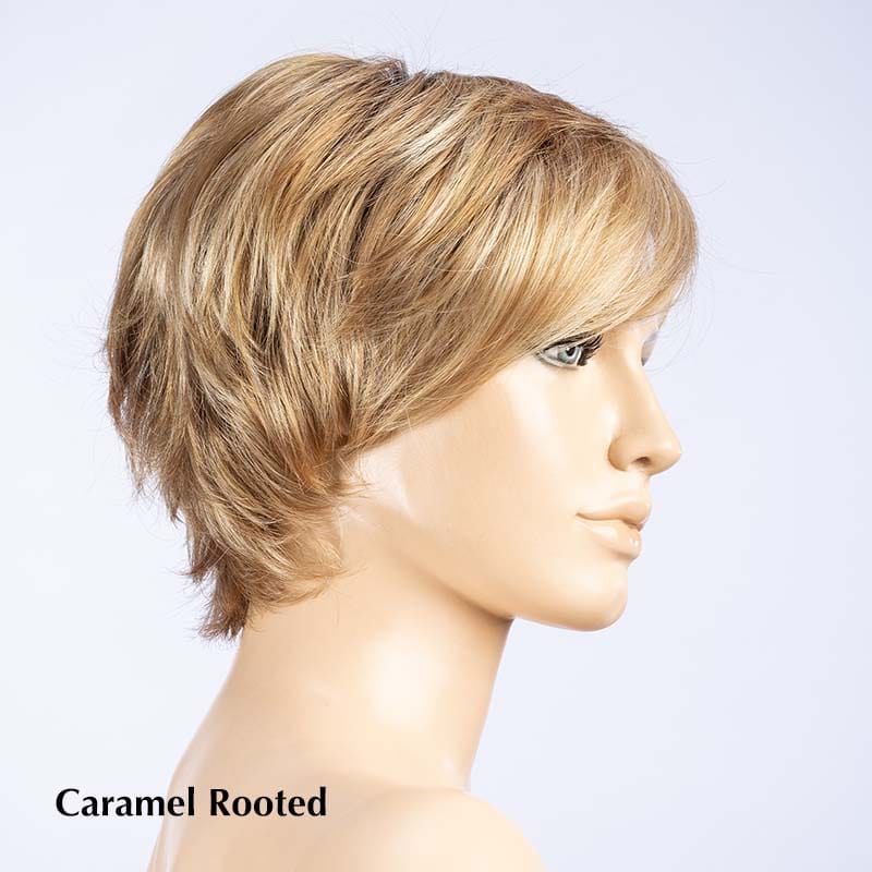 Joy Wig by Ellen Wille | Synthetic Lace Front Wig (Hand-Tied)
