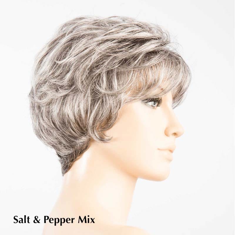 Louise Wig by Ellen Wille | Synthetic Ellen Wille Synthetic Salt/Pepper Mix / Front: 4" |  Crown: 4" |  Sides: 2" |  Nape: 1.5" / Petite / Average