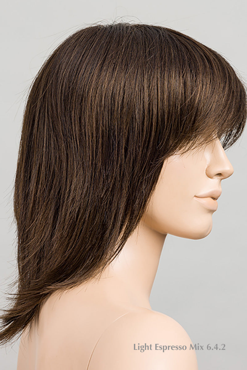 Rainbow Wig by Ellen Wille | Synthetic (Mono Crown)