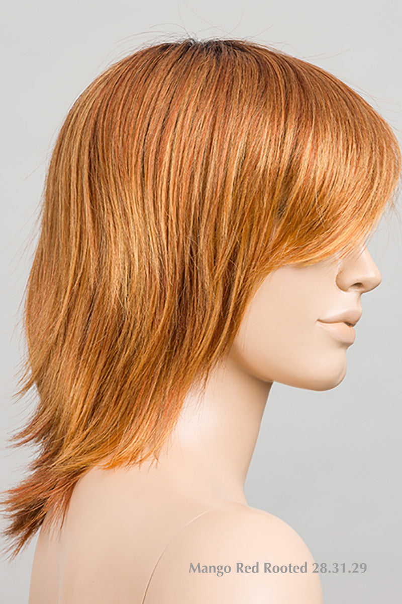 Rainbow Wig by Ellen Wille | Synthetic (Mono Crown)