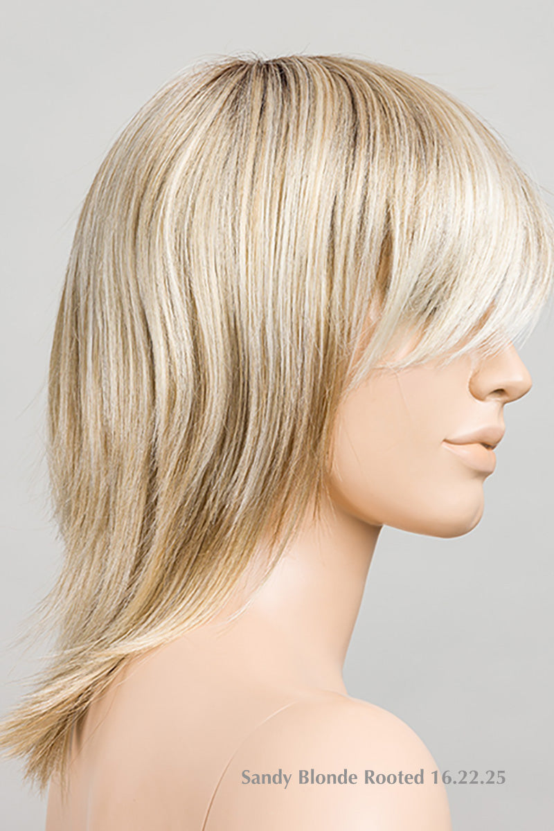 Rainbow Wig by Ellen Wille | Synthetic (Mono Crown)