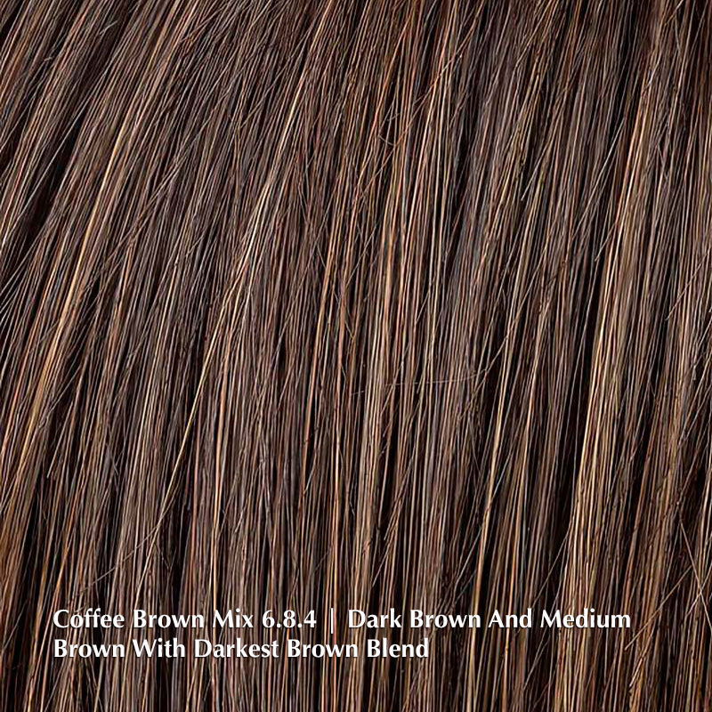 Ready Wig by Ellen Wille | Heat Friendly Synthetic | Extended Lace Front (Mono Part)