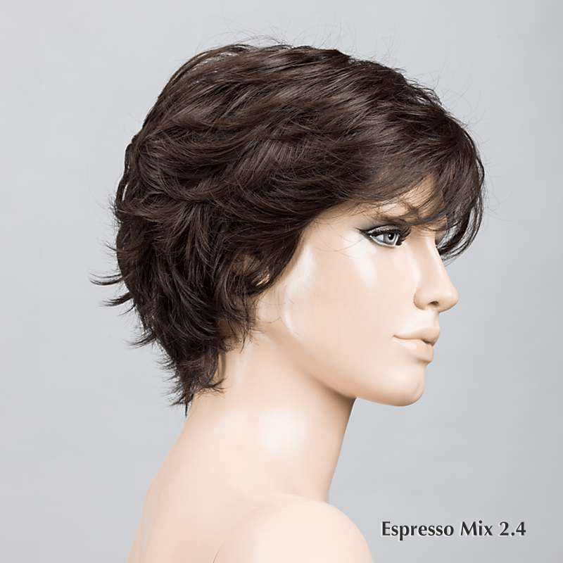 Relax Wig by Ellen Wille | Heat Friendly Synthetic | Lace Front Wig (M