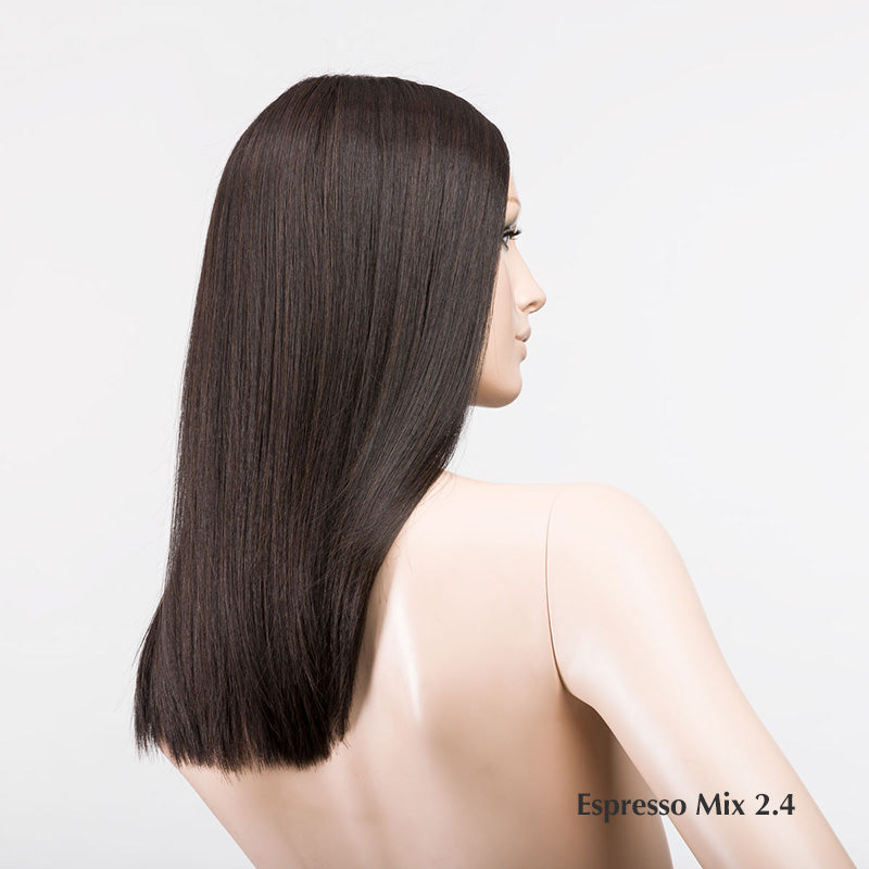 Sleek Mono Part Wig by Ellen Wille  | Heat Friendly Synthetic | Lace Front