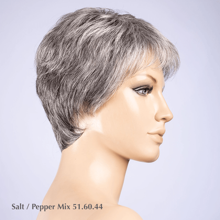 Spa Wig by Ellen Wille | Synthetic Lace Front Wig Ellen Wille Synthetic Salt / Pepper Mix