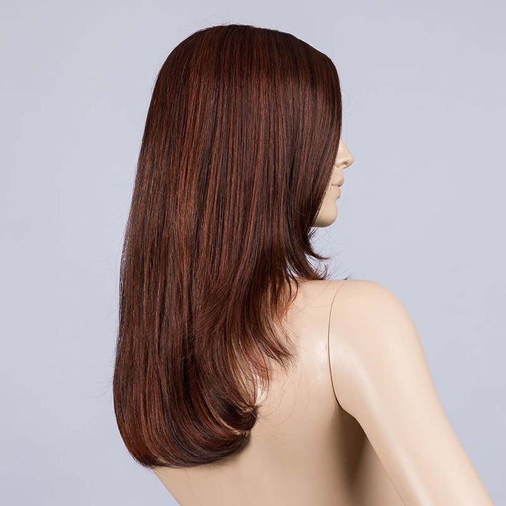 Advance Wig by Ellen Wille | Human Hair / Synthetic Blend Lace Front W
