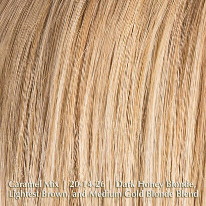Amy Small Deluxe Wig by Ellen Wille | Synthetic Lace Front WigAmy Small Deluxe Wig