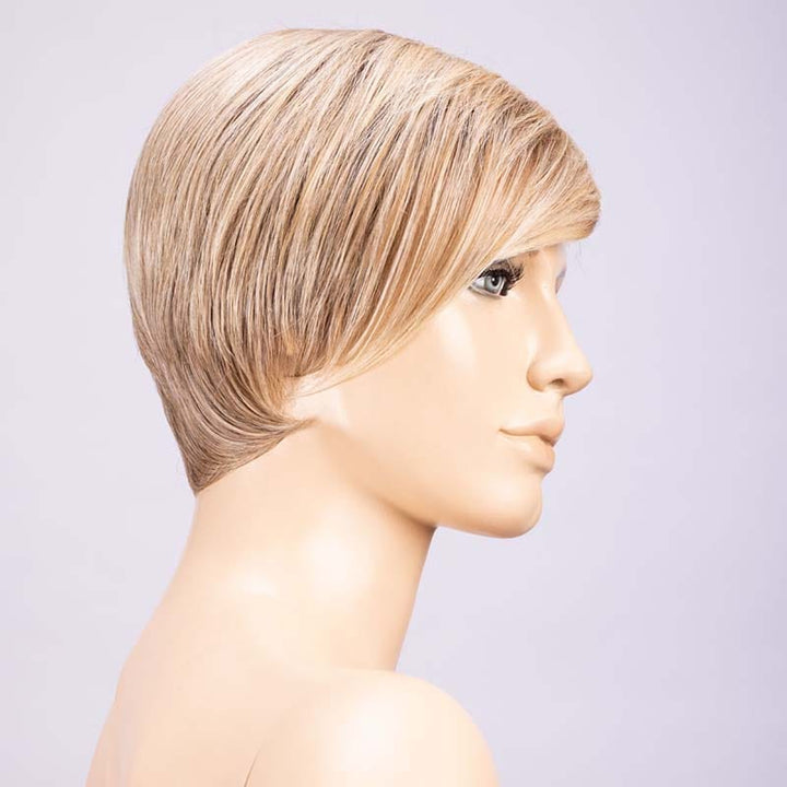 Link Wig by Ellen Wille | Heat Friendly Synthetic Lace Front Wig (Mono Part) Ellen Wille Heat Friendly Synthetic Sandy Blonde Rooted / Front: 5.5" | Crown: 6" |  Sides: 1.75" | Nape: 1.75" / Petite / Average