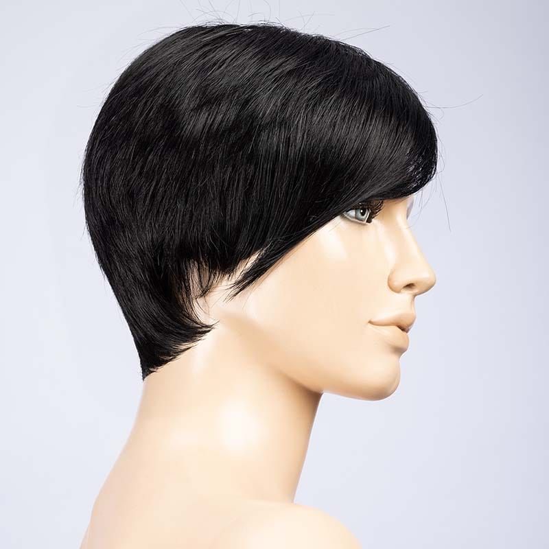 Point Wig by Ellen Wille | Synthetic Wig (Mono Crown) Ellen Wille Synthetic Ebony Black / Front: 4.5" |  Crown: 4" |  Sides: 3" |  Nape: 2.5" / Petite / Average